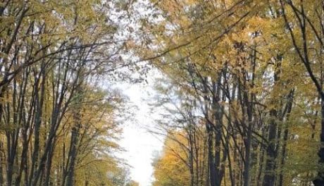 Dachowanie w gminie Grudusk. Kierowca trafił do szpitala