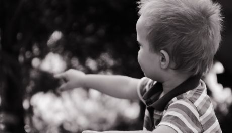 9 listopada – Międzynarodowy Dzień Adopcji na Mazowszu