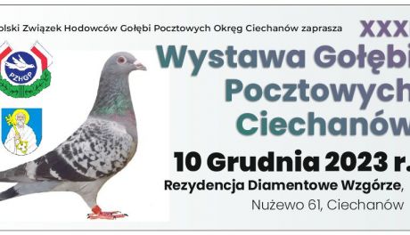 31 Wystawa Gołębi Pocztowych - zbiórka charytatywna dla Antoniego Tomczaka
