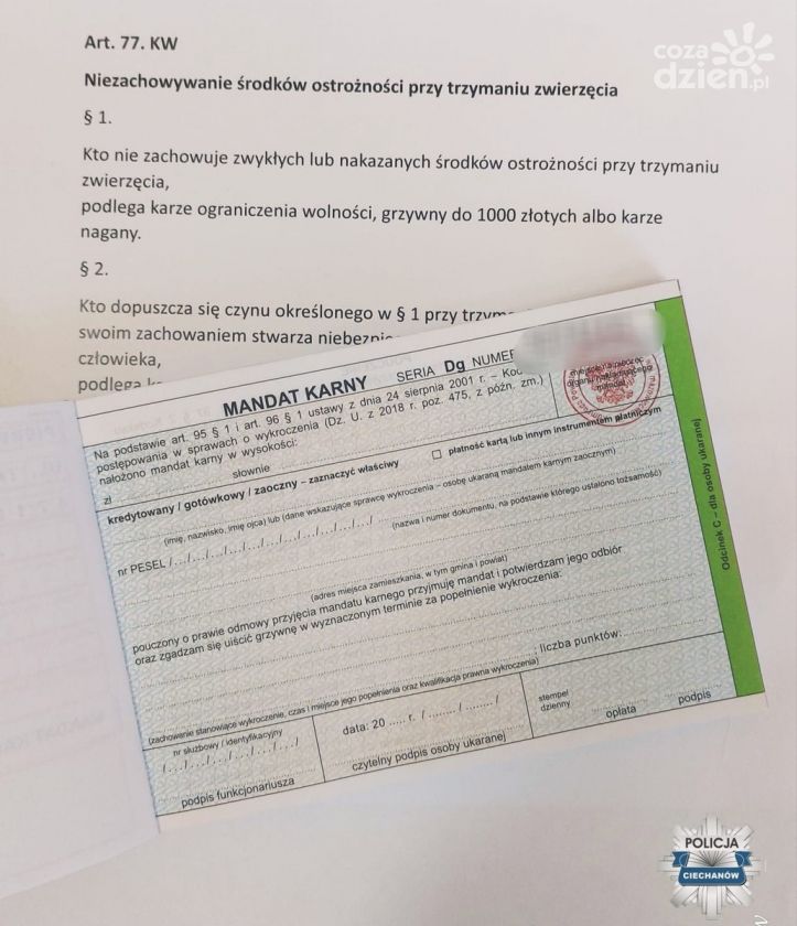 Czy pilnujesz swojego psa?