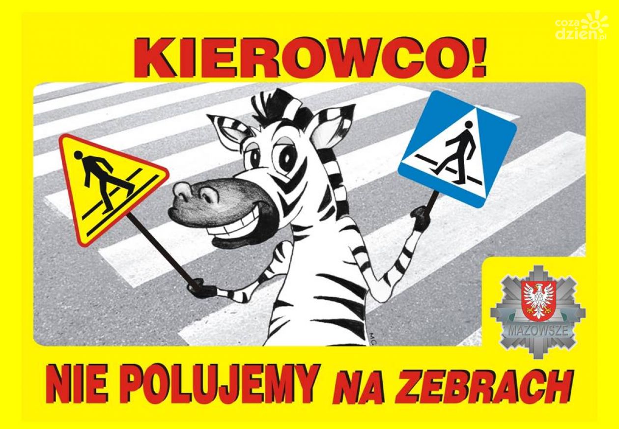 Jak zadbać o bezpieczeństwo na drodze?