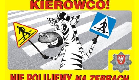 Bezpieczeństwo na drodze: Międzynarodowy Dzień Zebry