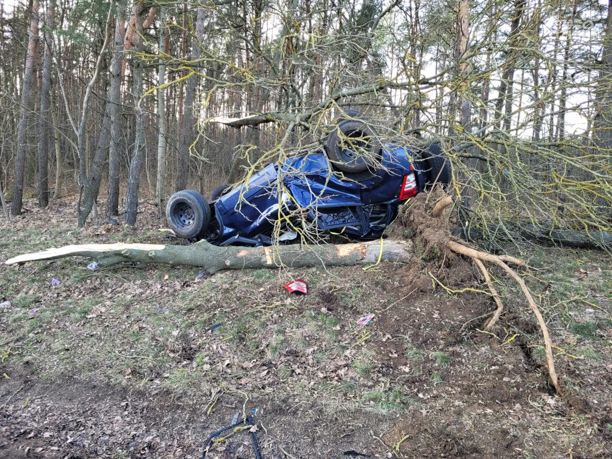 Wypadek w Dalni - kierowca trafił do szpitala 