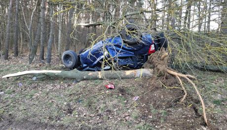Zjechał z drogi i uderzył w drzewo. Kierowca trafił do szpitala 