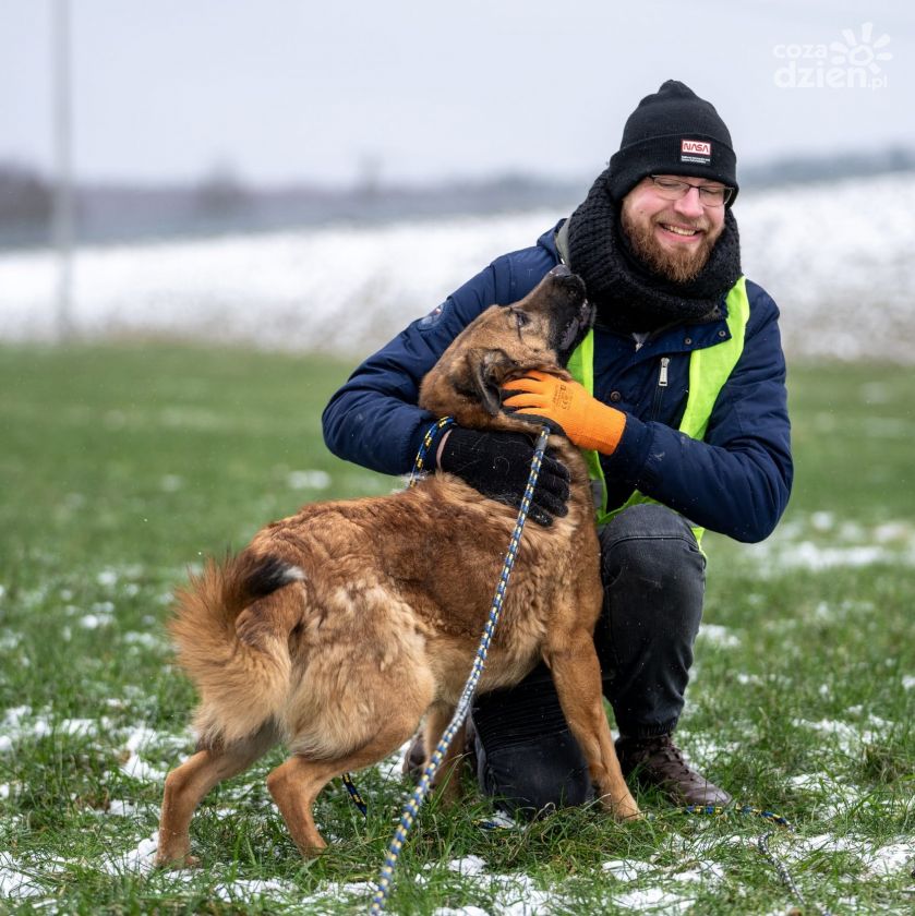Dzięki nim bezdomne psy wychodzą na spacery i na nowo poznają świat