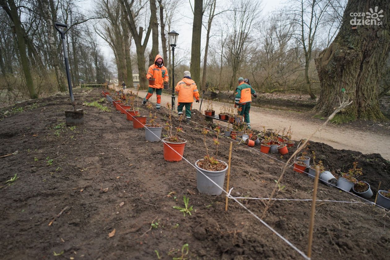 Nowy Park nad Łydynią - tysiące nowych roślin i muzyczny plac