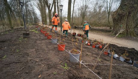 Rewitalizacja Parku nad Łydynią - nowe rośliny i muzyczny plac zabaw