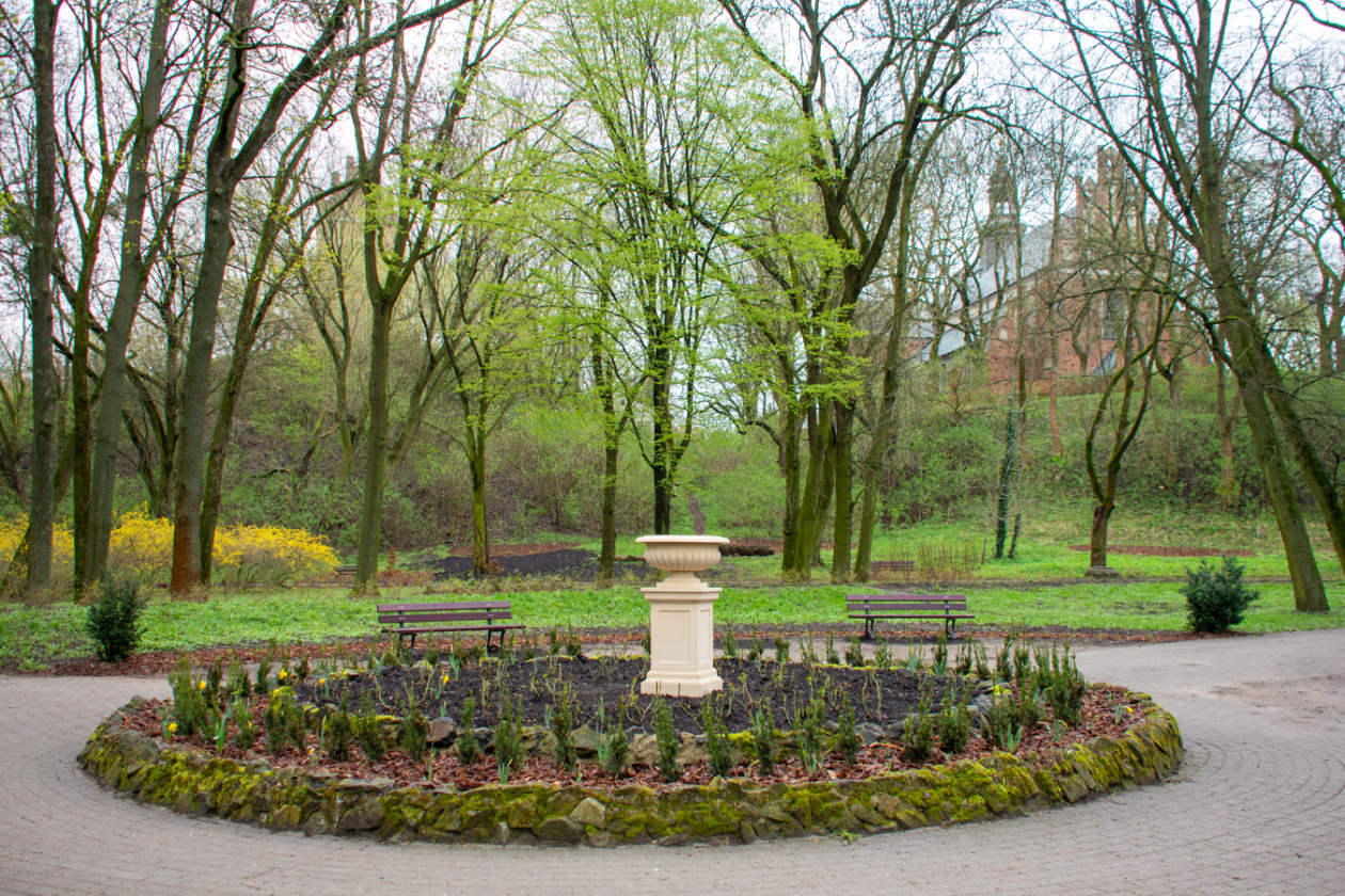 Park Dąbrowskiego zmienił się w kwiecisty raj