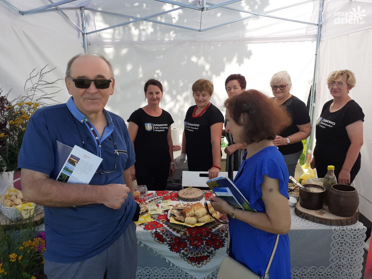Do Opinogóry na piknik mazowiecki