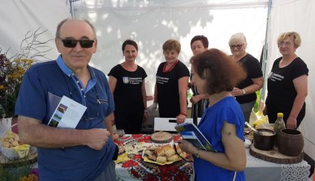 Dzisiaj Piknik w Opinogórze - MazoPiknik 2024