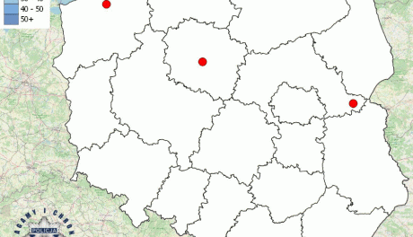 Smutna Mapa Polski: codzienny bilans śmiertelnych wypadków drogowych