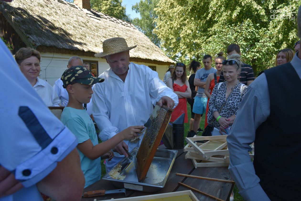 Pszczoły, ule i miód - Miodobranie w Skansenie