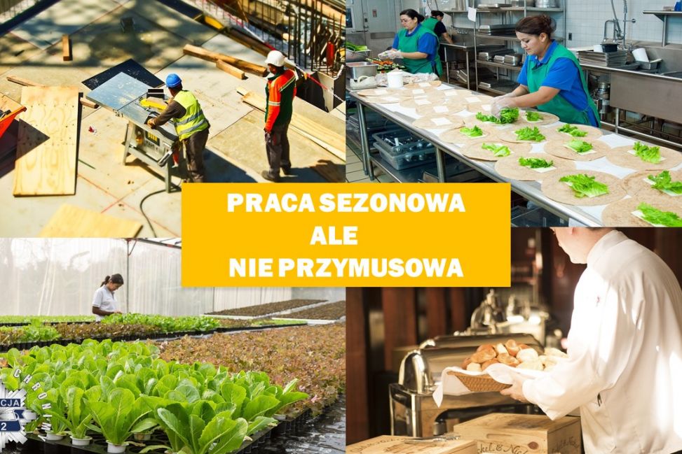 Bezpieczna praca sezonowa za granicą