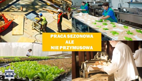 Bezpieczna praca sezonowa za granicą
