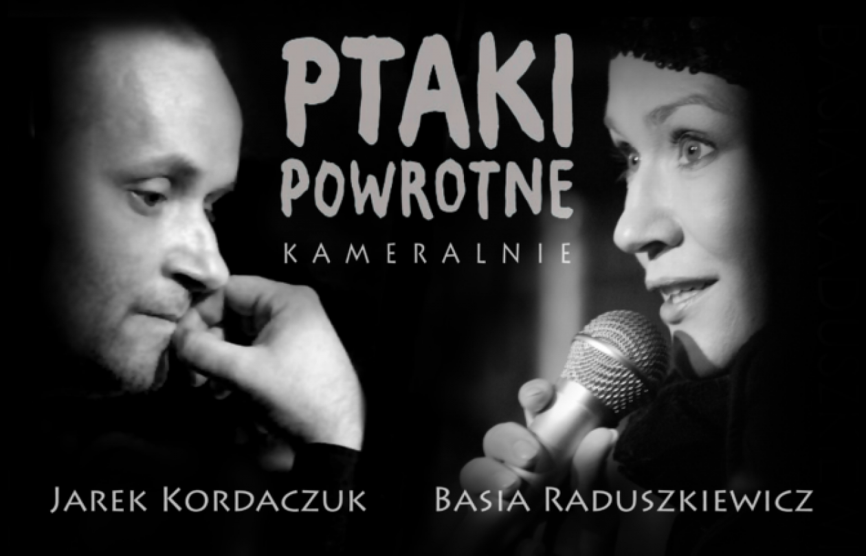 Koncert 
