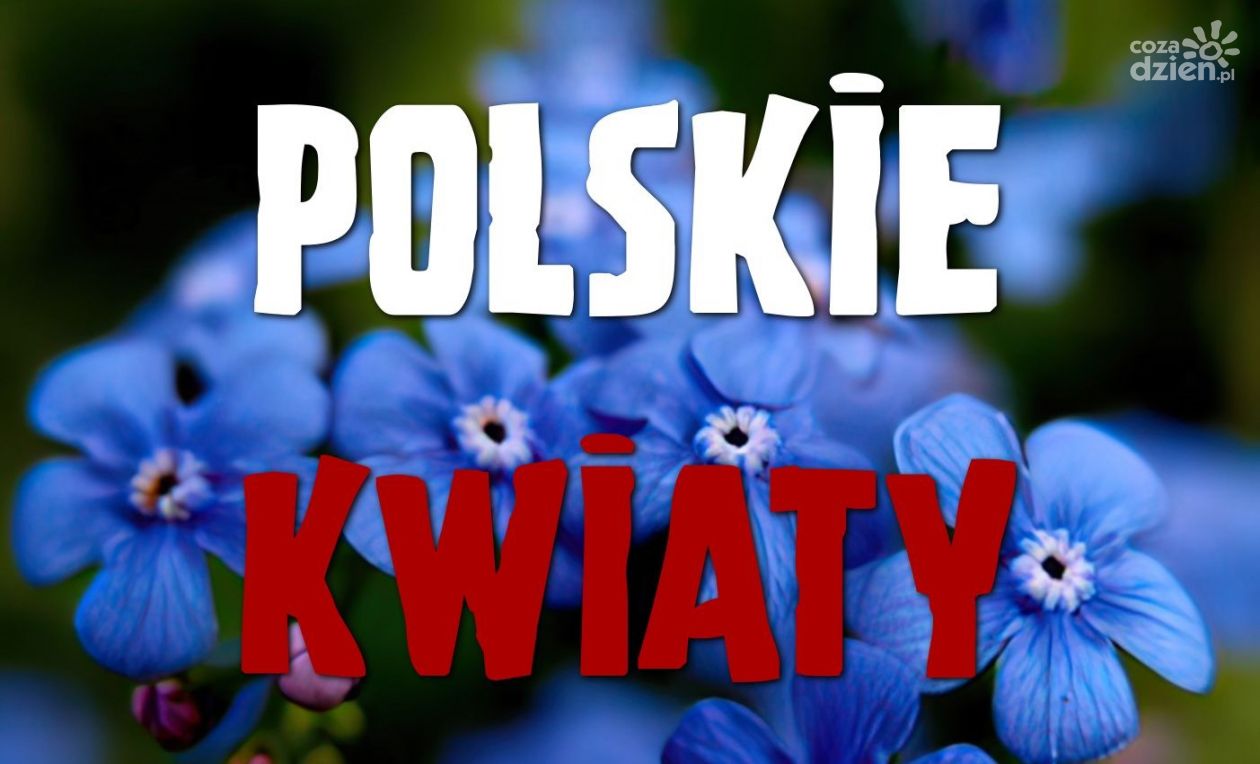 Nie przegap wydarzenia 