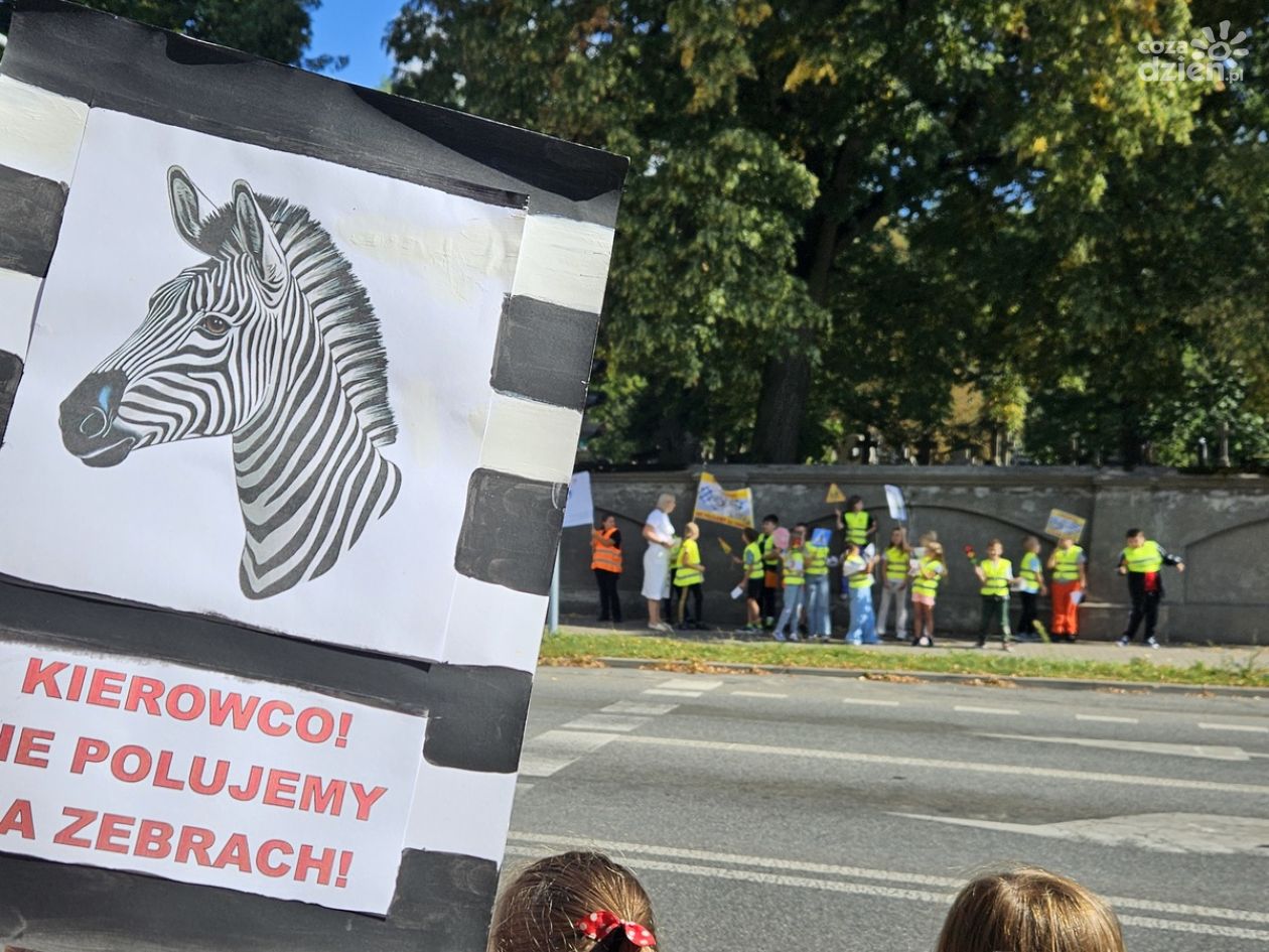 Akcja Kierowco! Nie polujemy na zebrach” z ciechanowską policją