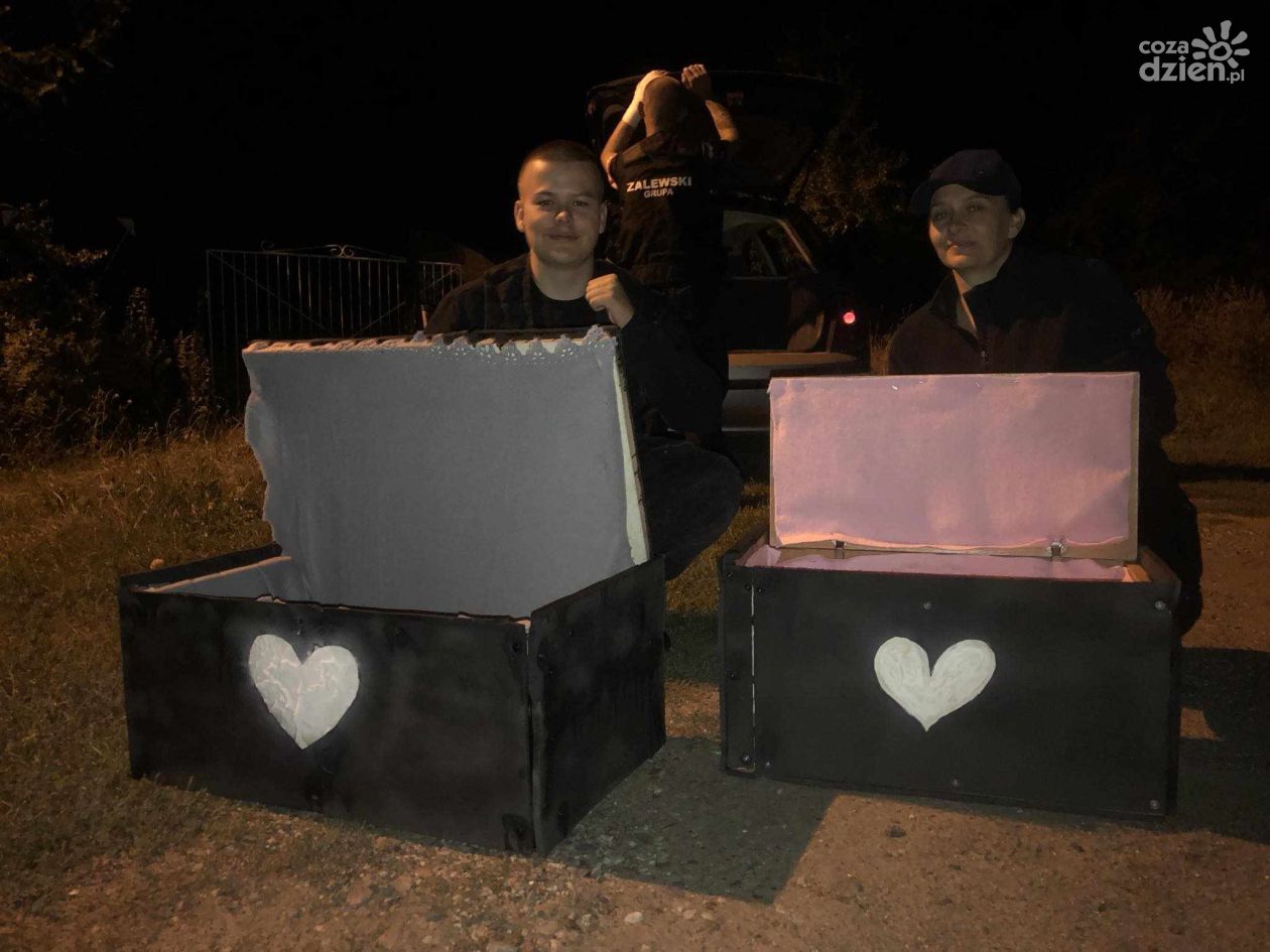 Skrzynki białych serc z pomocą dla bezdomnych
