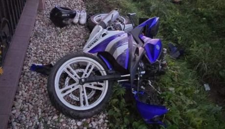 Psy wybiegły na drogę, 16-latek trafił do szpitala