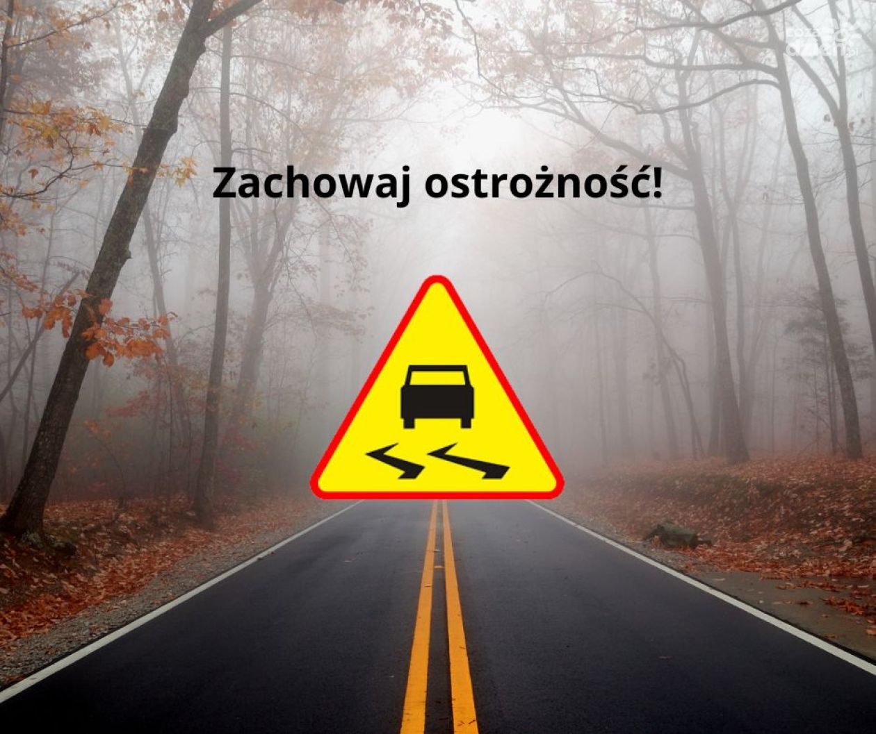Zaskakujące przyczyny wypadków