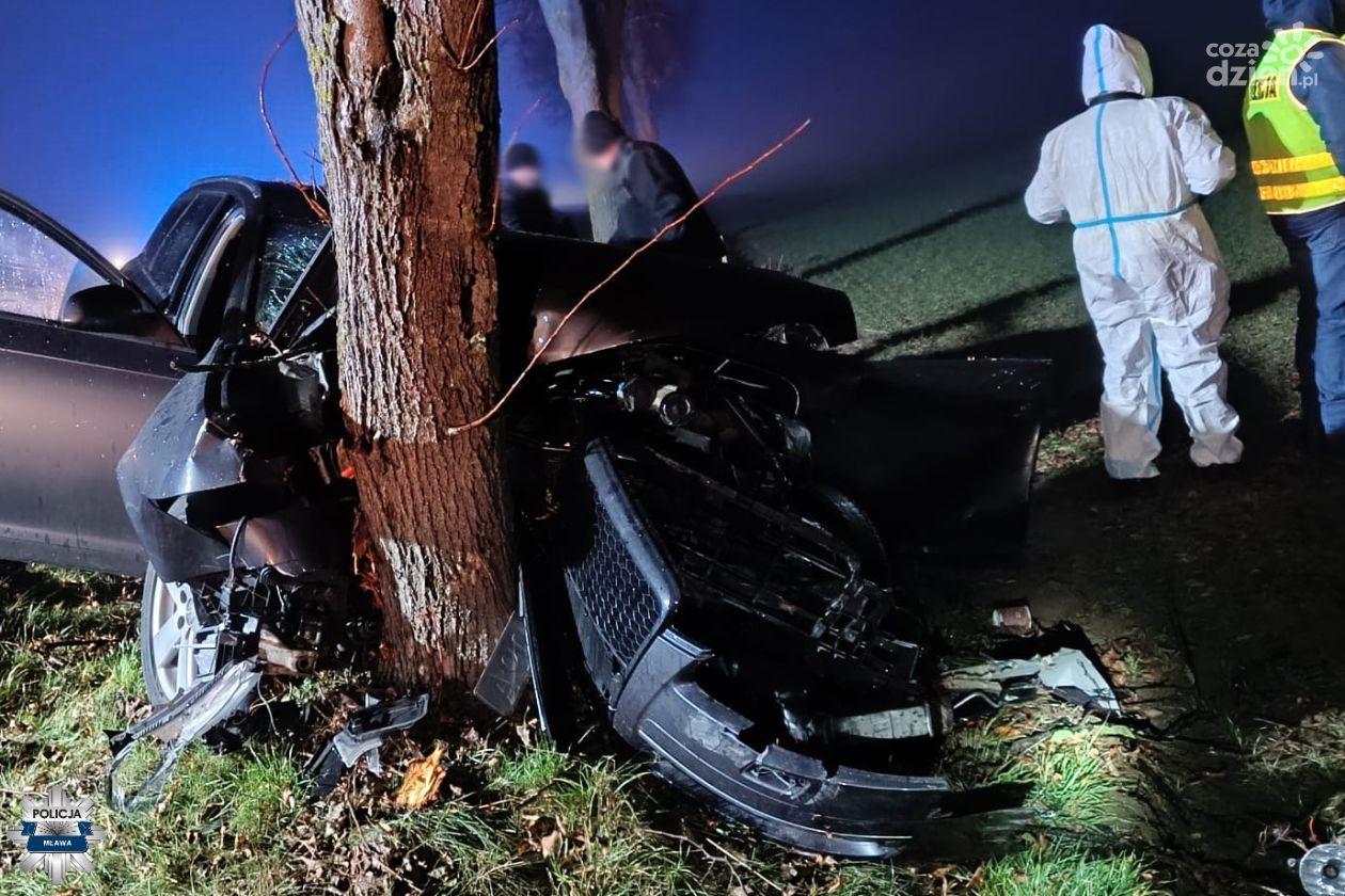 24-letni kierowca Audi zginął na miejscu w wypadku
