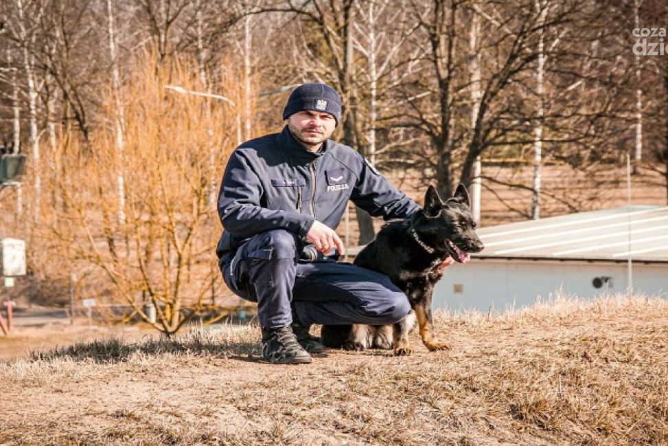  Niezawodni Partnerzy na Czterech Łapach - psy wspierają policję w Ciechanowie i okolicy