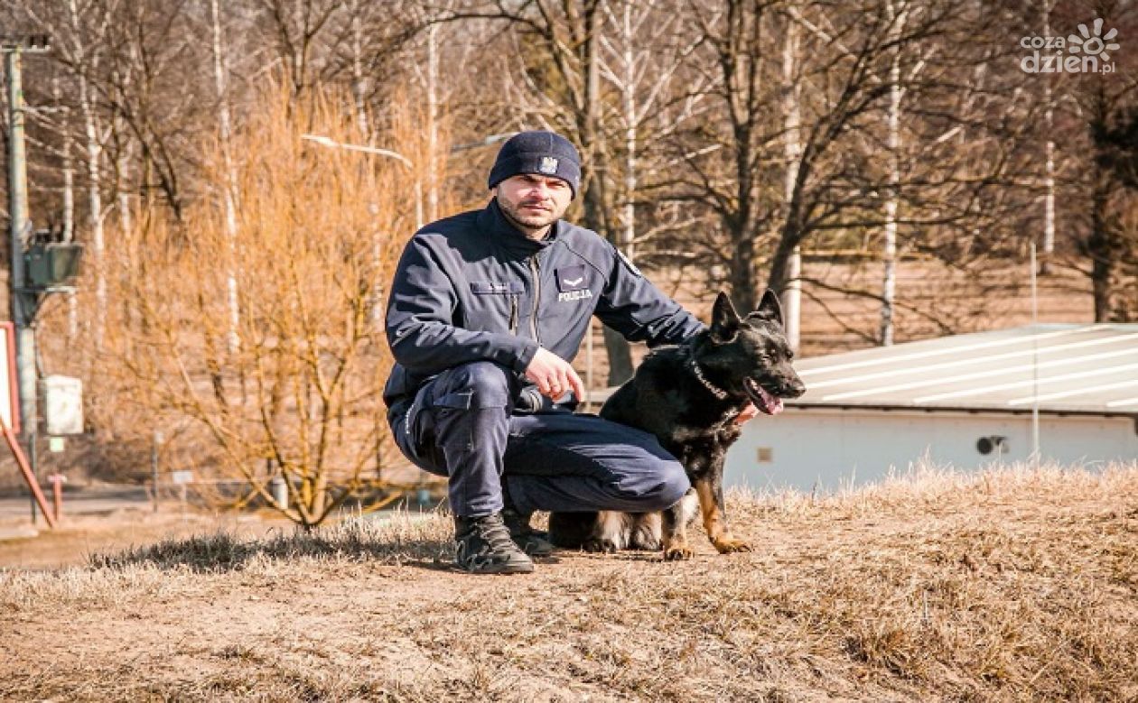 Tajna Broń Policji